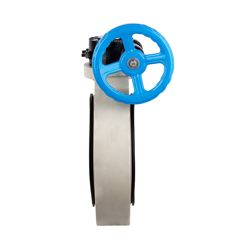 صمام الفراشة PPH D371X-10S Worm-Gear DN32-1000 GB القياسي