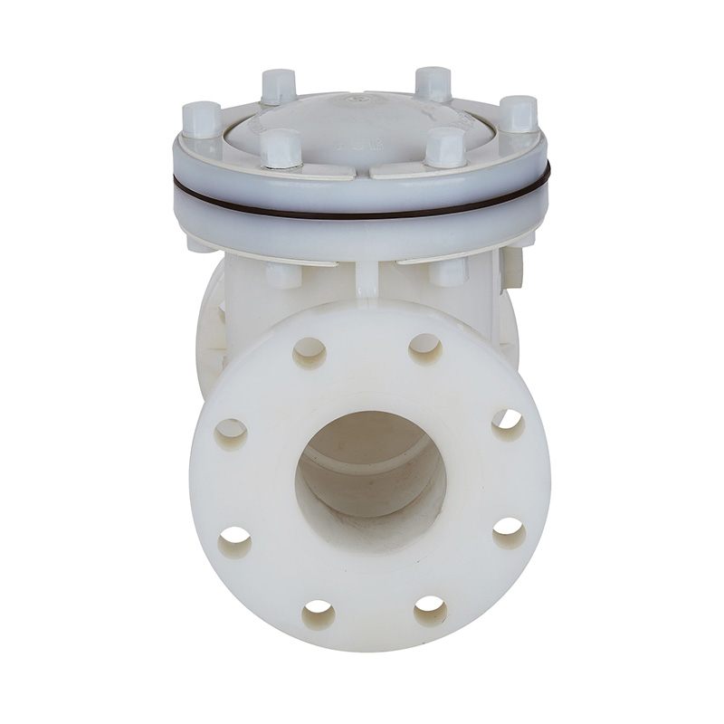 صمام فحص من النوع المتأرجح PVDF H44F-10F DN15-300 GB قياسي