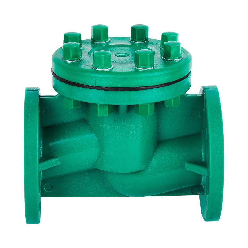 صمام فحص نوع الحياة FRPP H41F-10S DN40-80 GB القياسي