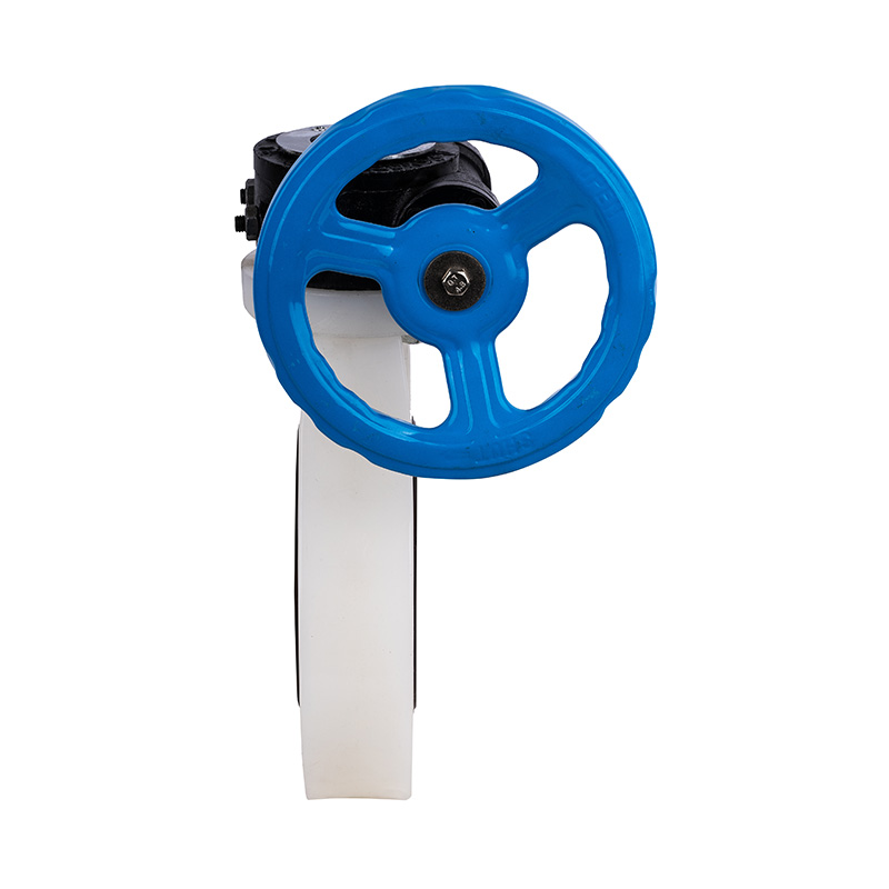 صمام الفراشة ذو التروس الدودية PVDF D371X-10F DN40-1000 40A-1000A JIS Standard