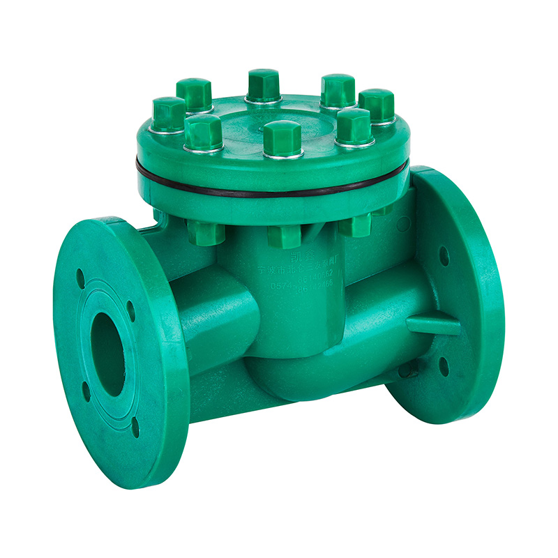 صمام فحص نوع الحياة FRPP H41F-10S DN40-80 GB القياسي