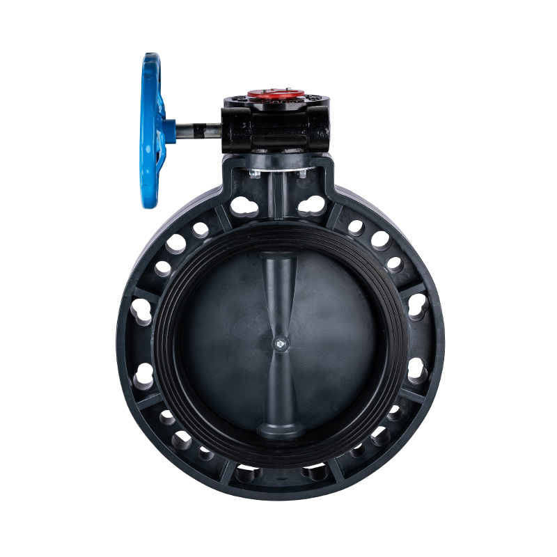 صمام الفراشة ذو التروس الدودية FRPP D371X-10S DN40-1000 40A-1000A JIS Standard