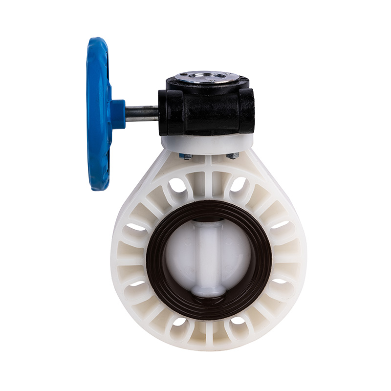 صمام الفراشة ذو التروس الدودية PVDF D371X-10F DN40-1000 40A-1000A JIS Standard